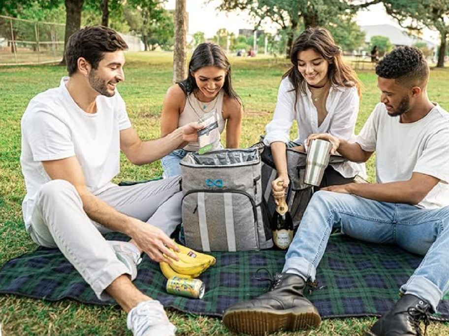 Group of friends ona picnic with their cooler