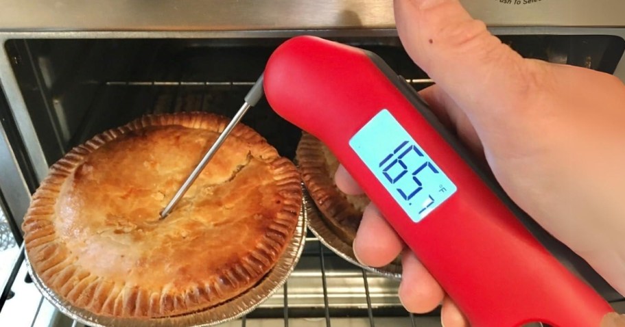 Digital Meat Thermometer Just $9.90 Shipped on Amazon | Waterproof w/ Magnetic Back