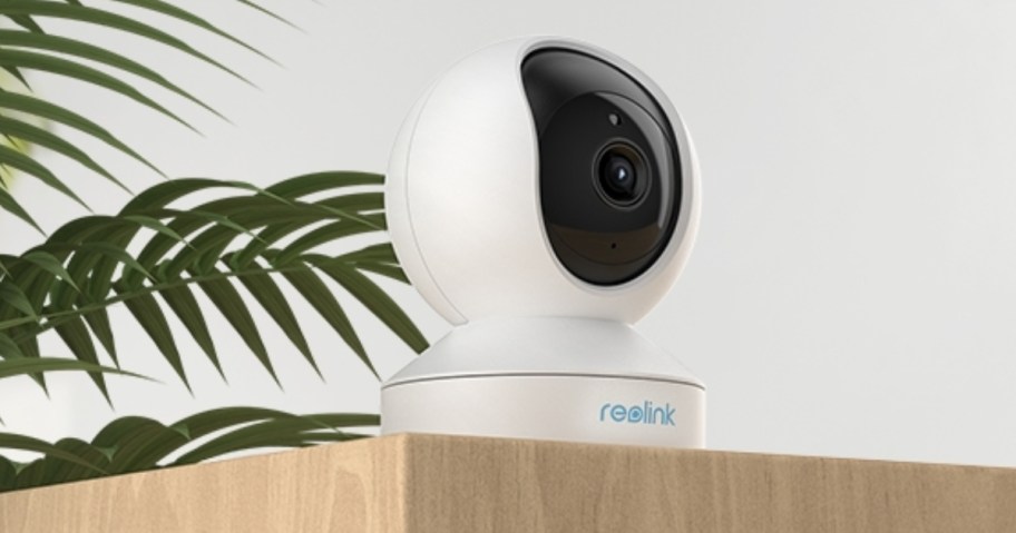 small white indoor security camera on top of a piece of furniture, plant leaves behind it