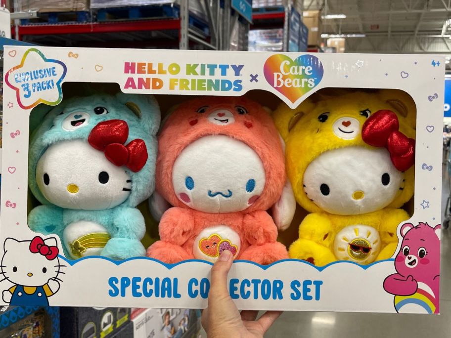 A person holding a box of Hello Kitty & Friends as Care Bears Stuffed Plush