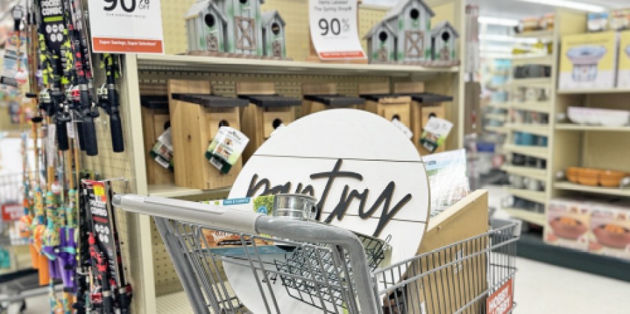 GO! 90% Off Hobby Lobby Spring Clearance is on NOW | Wall Art, Garden Decor, & More