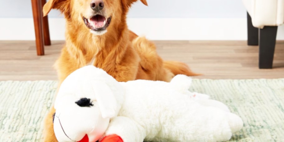 HUGE Lamb Chop Dog Toy Only $7.79 on Amazon