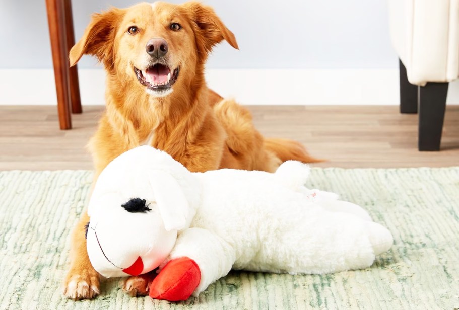HUGE Lamb Chop Dog Toy Only $11.24 on Amazon