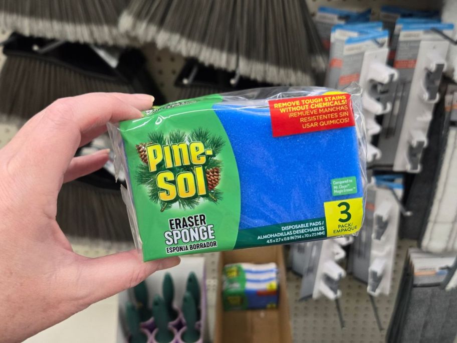 Pine-Sol Eraser Sponge 3-Pack in hand in store