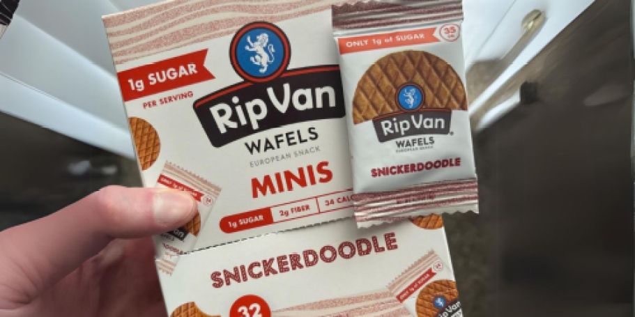 Rip Van Wafels Minis 32-Count Just $7.99 Shipped w/ Amazon Prime (Reg. $24) | Keto-Friendly Snacks!