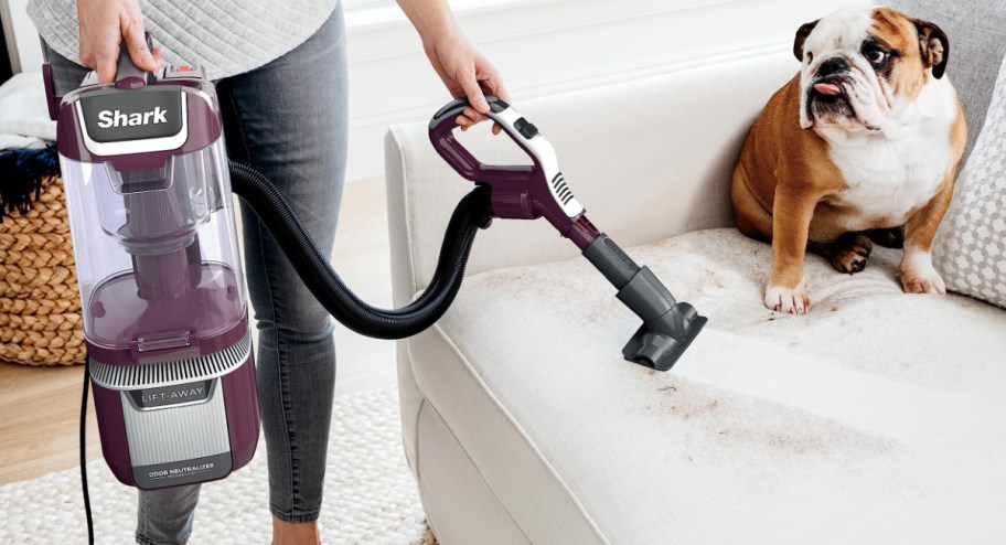 Shark vacuumcleaning the couch with dog behind it