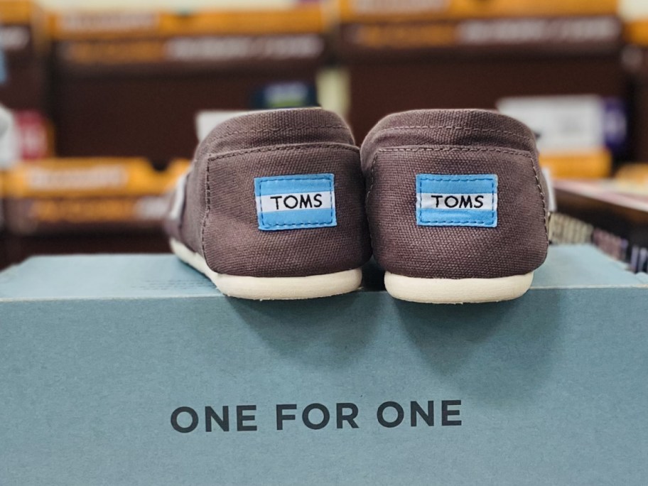 Grey Tom's canvas shoe on top of box inside Sam's Club