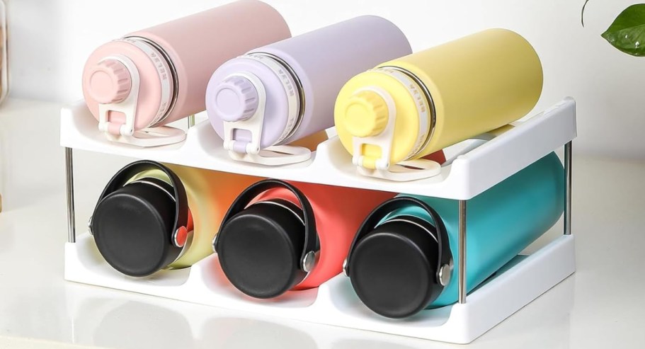 Water Bottle Organizers from $9.99 on Amazon | Holds Stanley, Hydro Flask & More