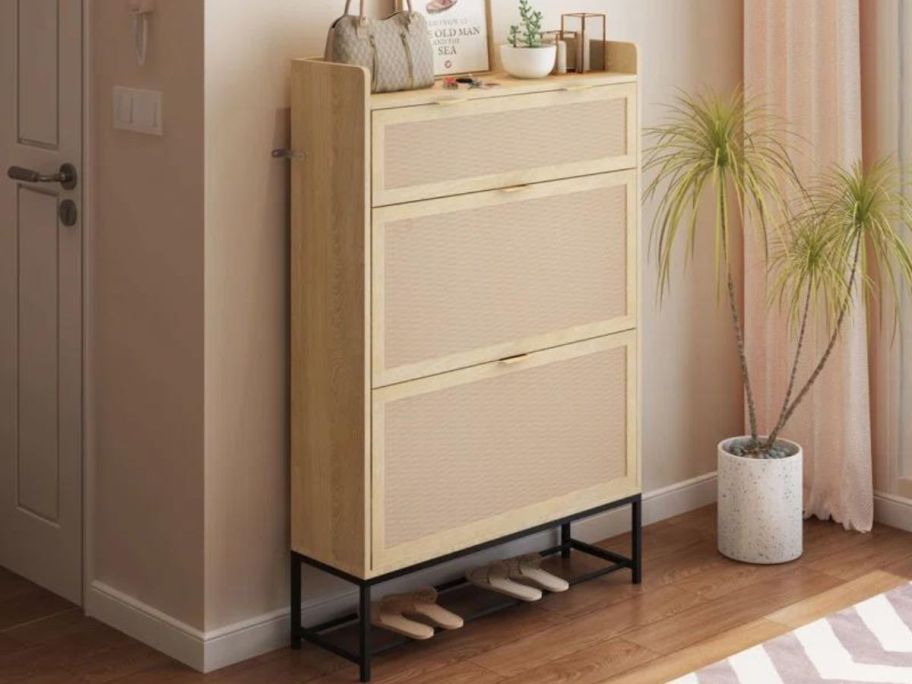 Rosdorf Park 20 Pair Shoe Storage Cabinet