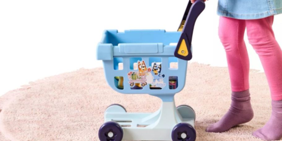 Bluey Shopping Cart Back in Stock on Target.online (Will Sell Out Again)