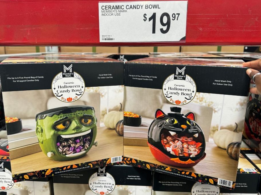 ceramic black cat and frankenstein candy bowl boxes on display in a store