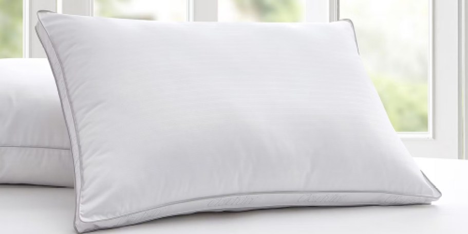 Claritin Anti-Allergy Pillows Only $19.99 on JCPenney.online (Reg. $54)