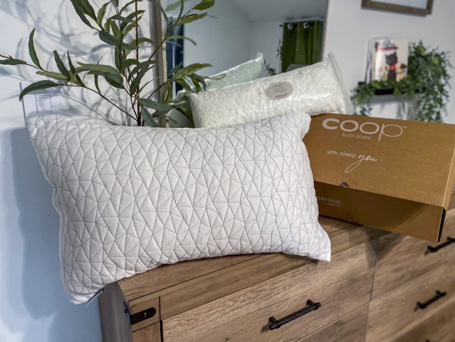 Adjustable Memory Foam Pillow Just $60 Shipped on Amazon | Thousands of 5-Star Reviews