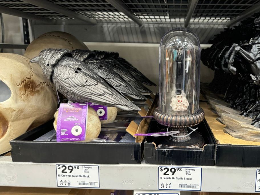 crow on a skull on a book