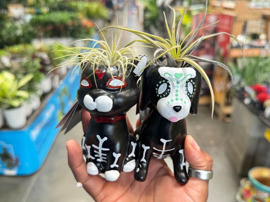 a womans hand holding 2 dia de los muertos cat and dog planters with succulents