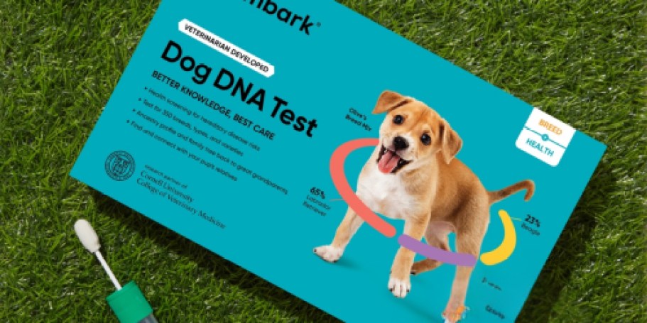 $60 Off Embark Dog DNA + Health Test | Find Your Dog’s Breed, Relatives, & Health Risks!