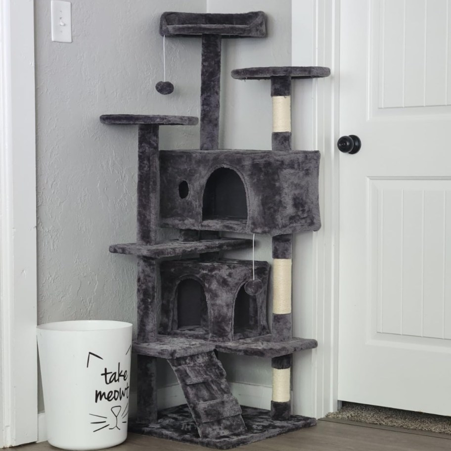 gray cat tree next to white door