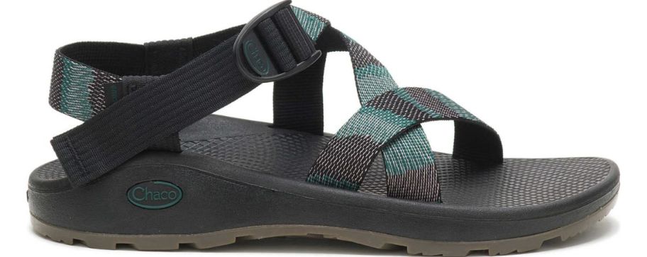 a mens chaco sandal