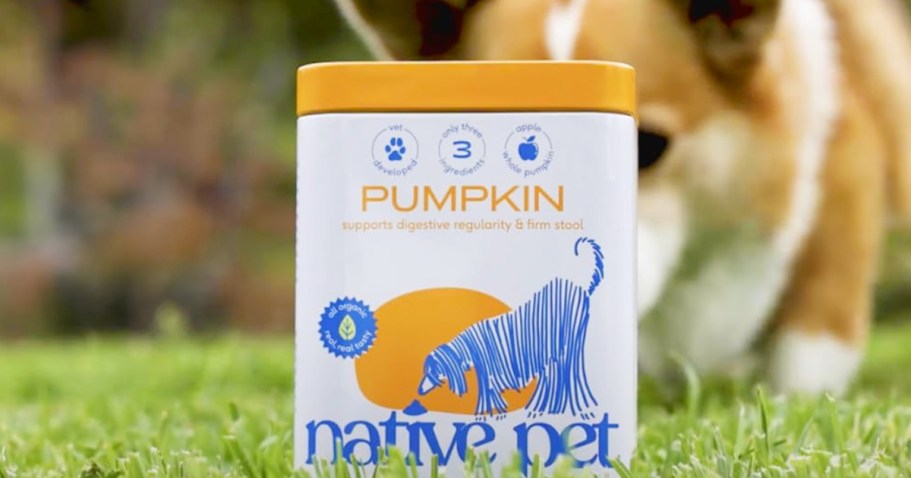 Native Pet Organic Pumpkin Digestive Support Only $10.99 Shipped on Amazon (Reg. $20)