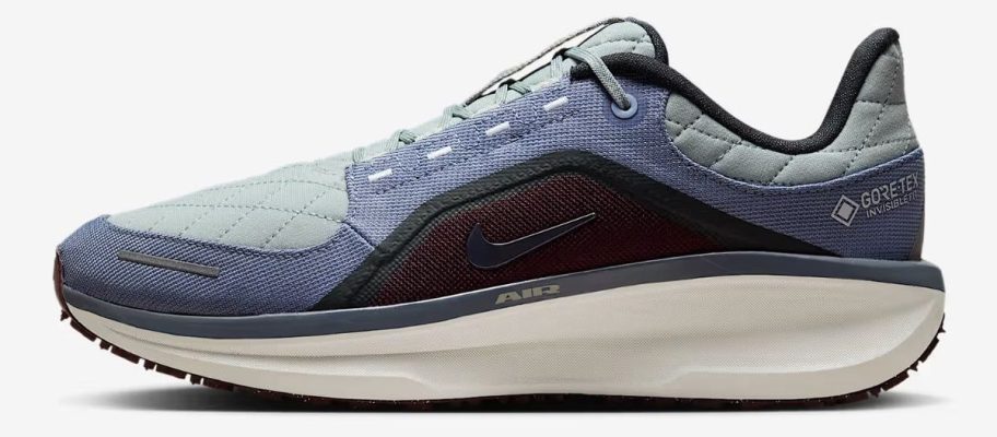 black and blue Nike Winflo 11 GORE-TEX Men's Waterproof Road Running Shoe stock image