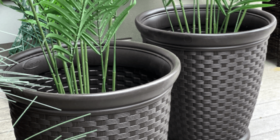 Large Suncast Planters 2-Pack Just $35.61 Shipped (Reg. $70)