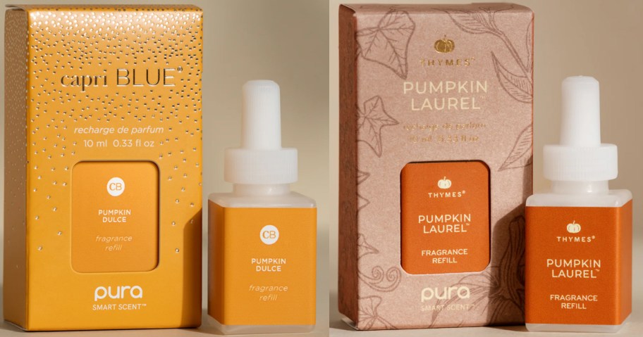 pura pumpkin fragrance refills 