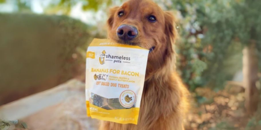 Shameless Pets Dog Treats Only $2 Shipped on Amazon (Reg. $9)