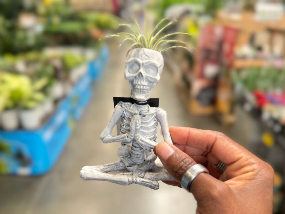 a womans hand holding a yogi skeleton planter wiht air plant