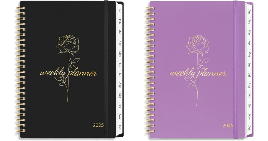 2025 Weekly & Monthly Planner stock images