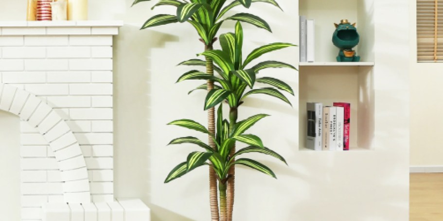 Faux Dracaena Tree Just $34.99 on Walmart.online (Regularly $100)