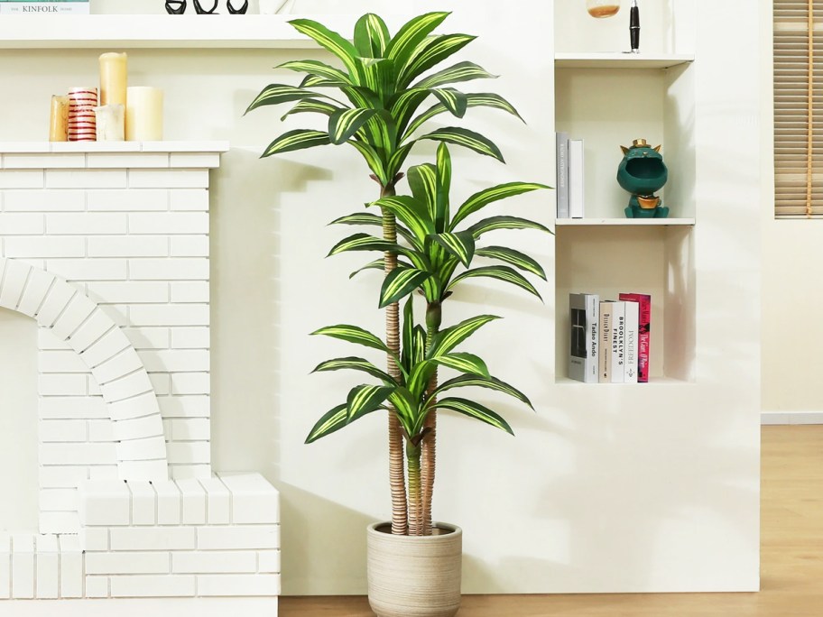 faux green Dracaena tree in white pot in living room