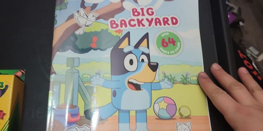 Bluey Books from $2.86 on Amazon | Stock Your Kiddo’s Library!