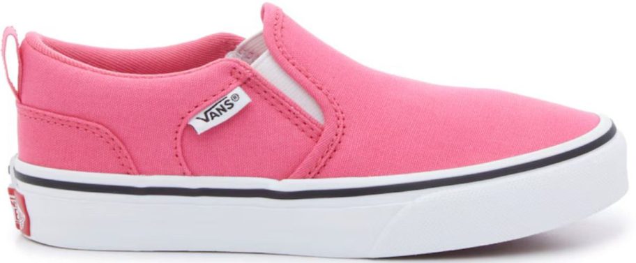 Vans Asher Slip-On Shoes