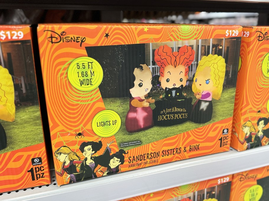 hocus pocus inflatable on shelf