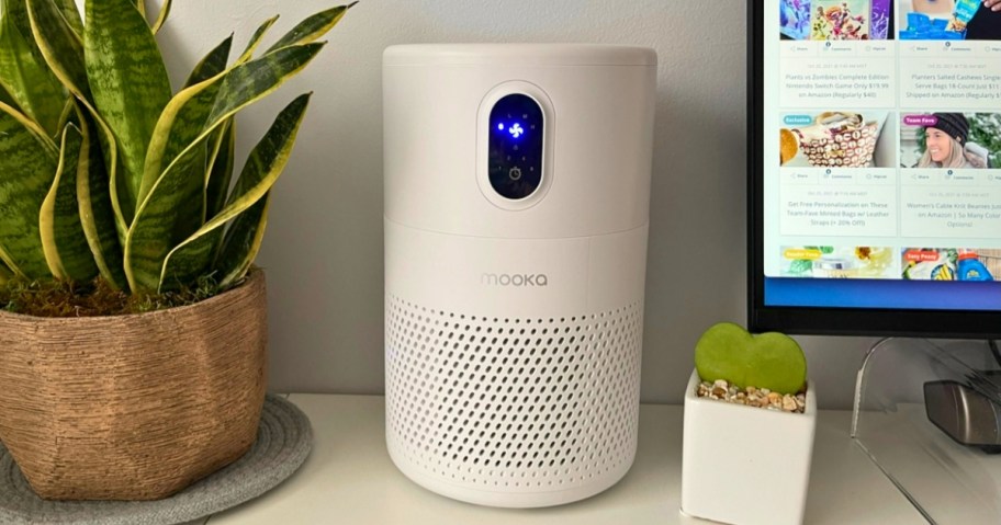 desk with a plant, a white MOOKA help air filter and onlineputer screen