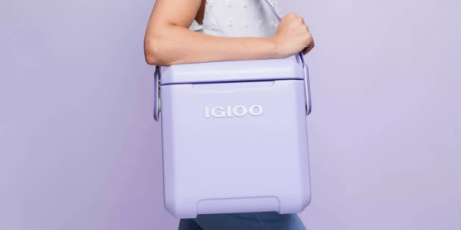 Igloo Tag Along Hard Side Coolers Only $35.99 Shipped on Target.online (Reg. $50)