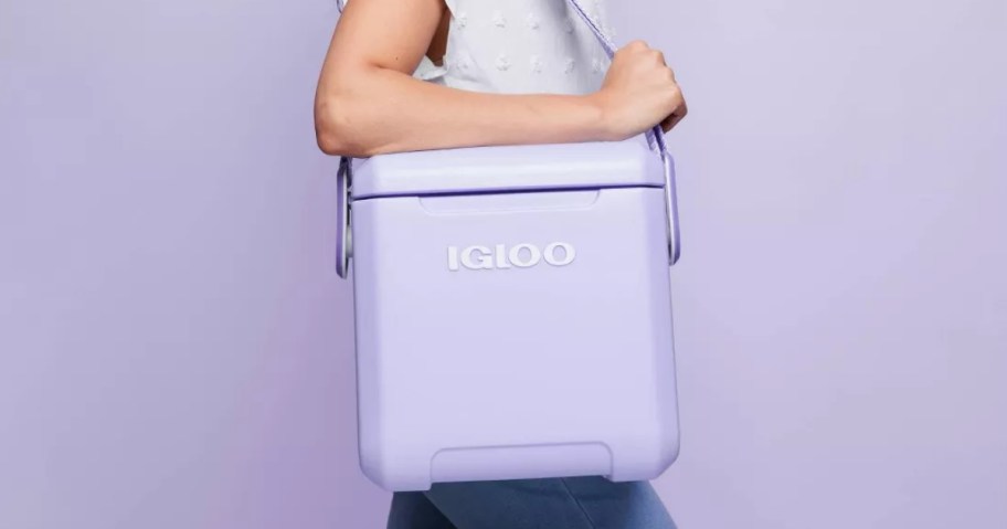 Igloo 11-Quart Hard Side Cooler in lilac