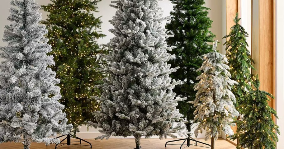 display of different christmas trees at kohl's