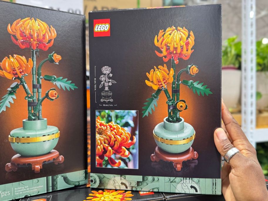 LEGO Chrysanthemum Botanical Collection Set in store