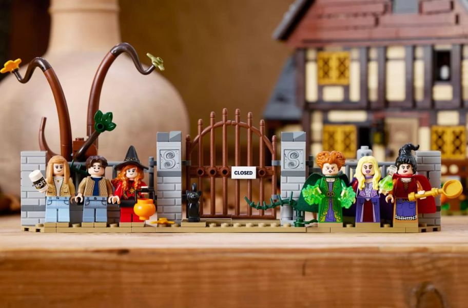 the accessories for the Lego Hocus Pocus Cottage building set