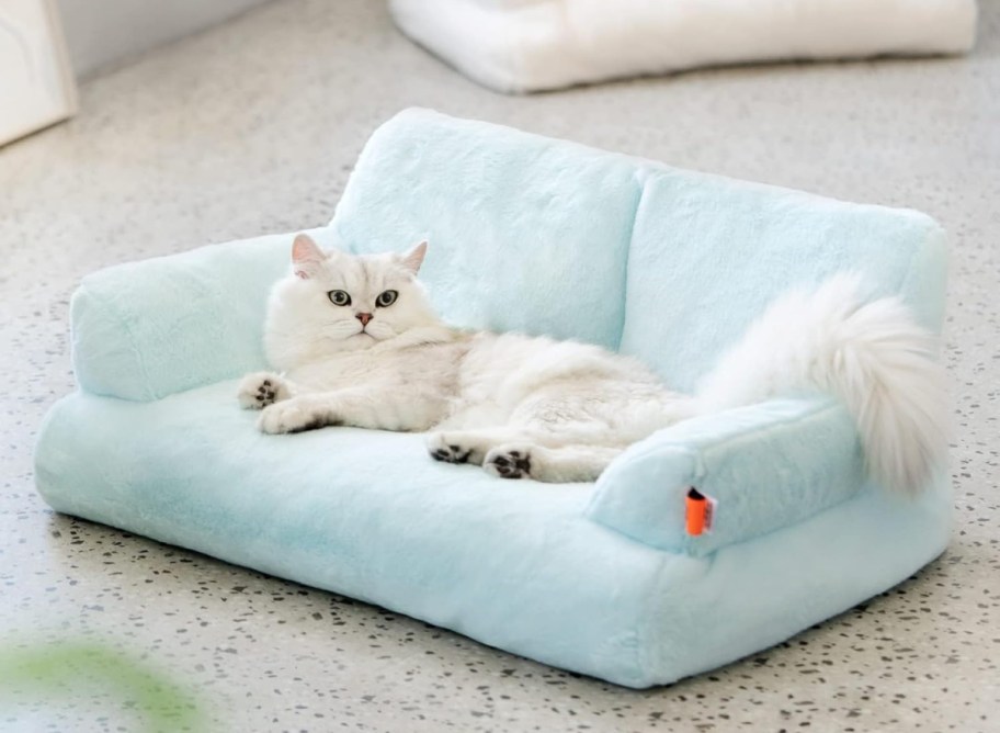 kitty sitting on a MeewooFun Cat Couch