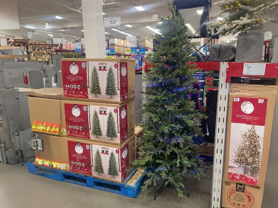 Member's Mark 7' Linden Fir Slim Pre-Lit Christmas Tree on display in store