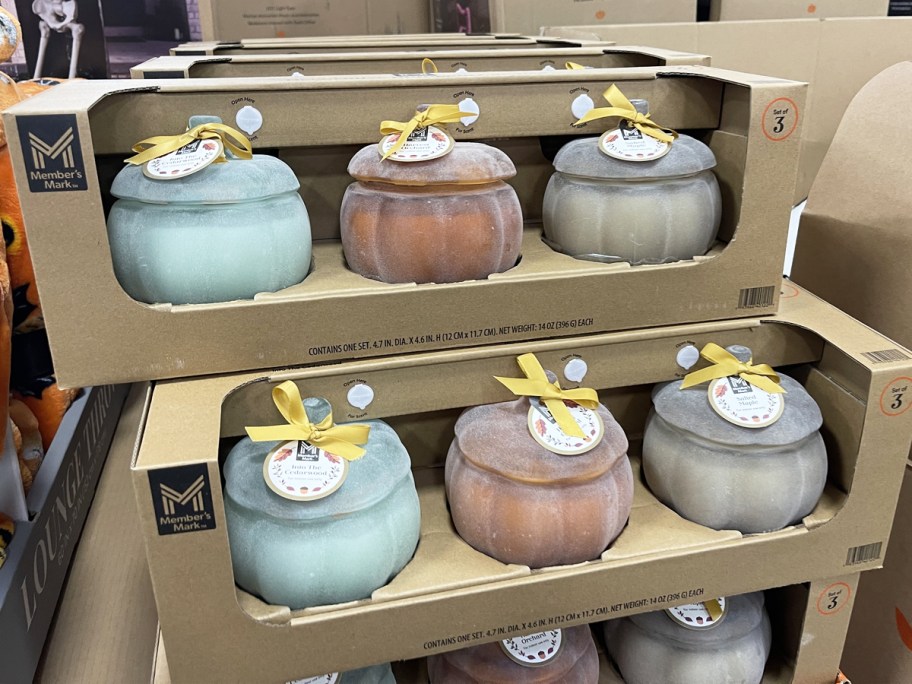 3-packs of glass pumpkins candles on display in store