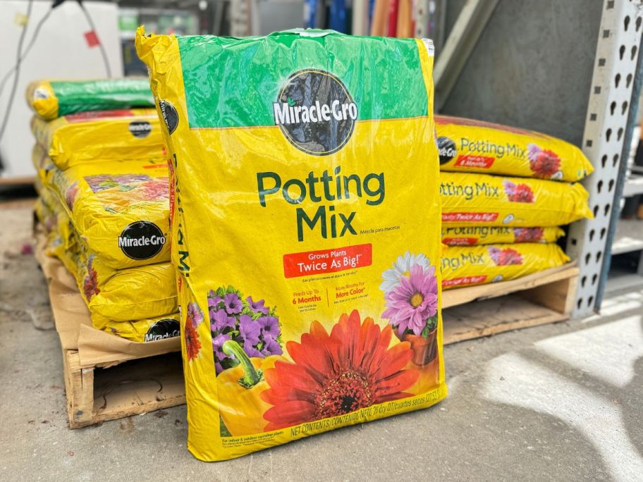 Miracle Gro Potting Mix at Lowe's