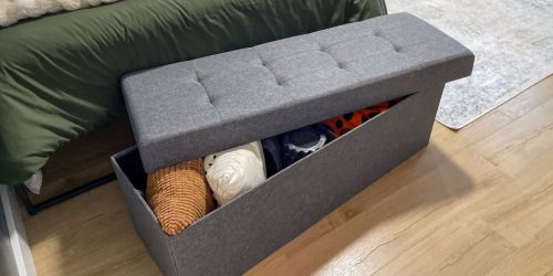 Storage Ottoman Bench Only $29.99 Shipped (Reg. $73)