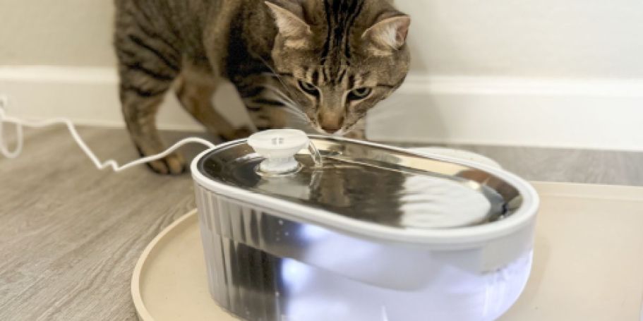 Cat Water Fountain Just $15.99 on Amazon | Removes 99.9% of Impurities