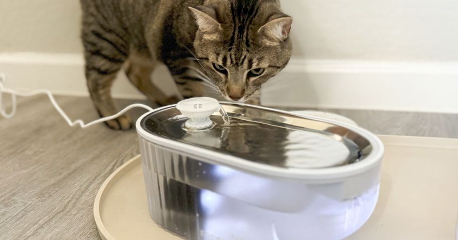 Cat Water Fountain Only $15.99 on Amazon (Removes 99.9% of Impurities)