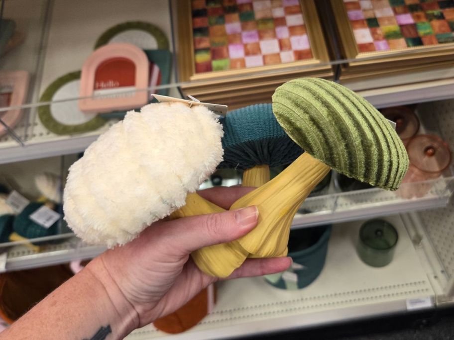 Plush Mushrooms in hand in store