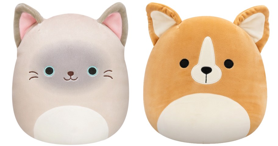 cat and dog squishmallows plush