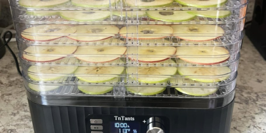 10-Tray Food Dehydrator Just $59.99 Shipped on Walmart.online (Regularly $100)